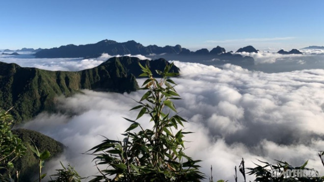 Lên Sapa “săn mây” trên dãy núi Ngũ Chỉ Sơn - 4