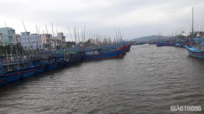 Tàu cá của ngư dân neo đậu tại cảng cá Tam Quan