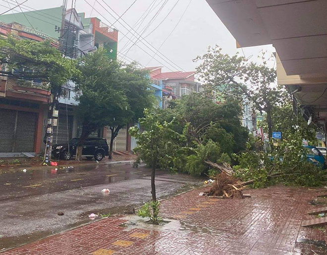 Bão số 9 quần thảo đất liền, nhà cửa tốc mái, cây xanh ngã đổ - 6