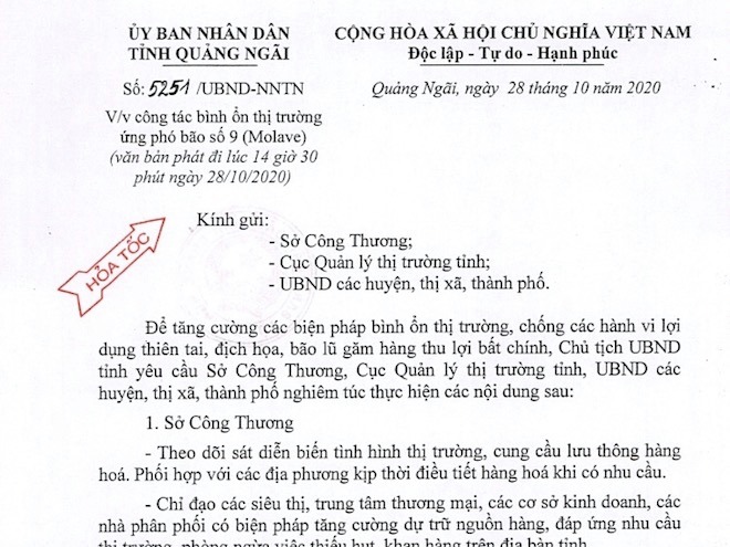 Bão số 9 quần thảo đất liền, nhà cửa tốc mái, cây xanh ngã đổ - 2