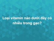 Giáo dục - du học - Hack não mới trả lời đúng trọn bộ câu hỏi này