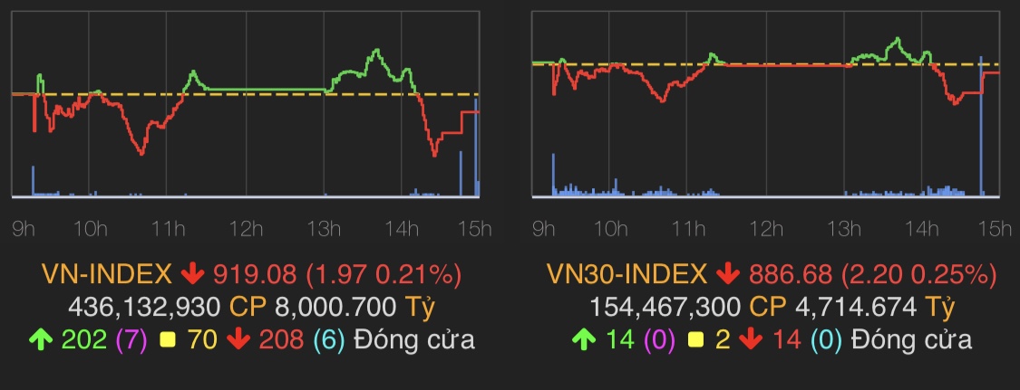 VN-Index giảm 1,97 điểm (-0,21%) xuống 919,08 điểm.