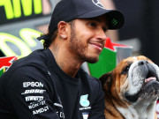 Thể thao - Đua xe F1, Emilia Romagna GP 2020: Cơ hội lớn để Hamilton nối dài kỷ lục