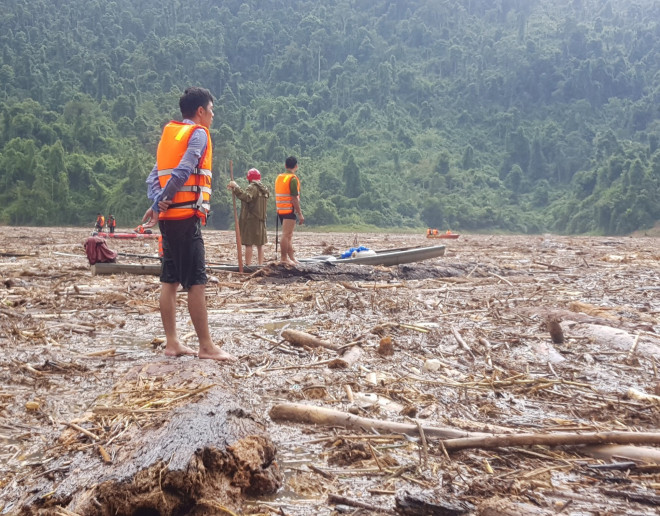 Những cây rừng lớn, các cán bộ chiến sĩ có thể đứng lên được để quan sát, tìm kiếm giữa lòng hồ.&nbsp;