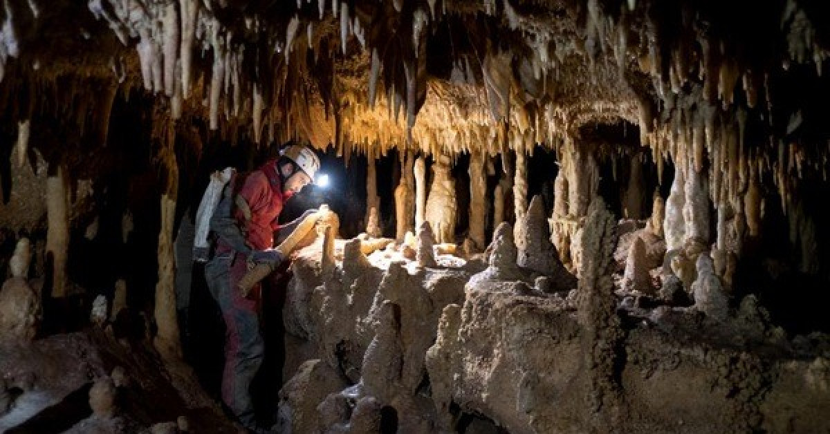 Khai quật tàn tích loài người tuyệt chủng Neanderthals tại hang Pozzo Cucù (Ý) - Ảnh: O.NACARBONARA