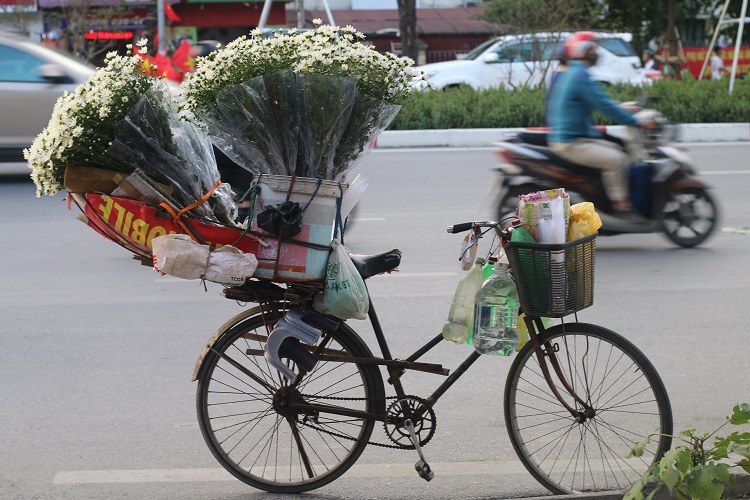 Do đầu mùa nên mỗi xe hoa thường chỉ nhập được 10 bó để bán trong ngày.