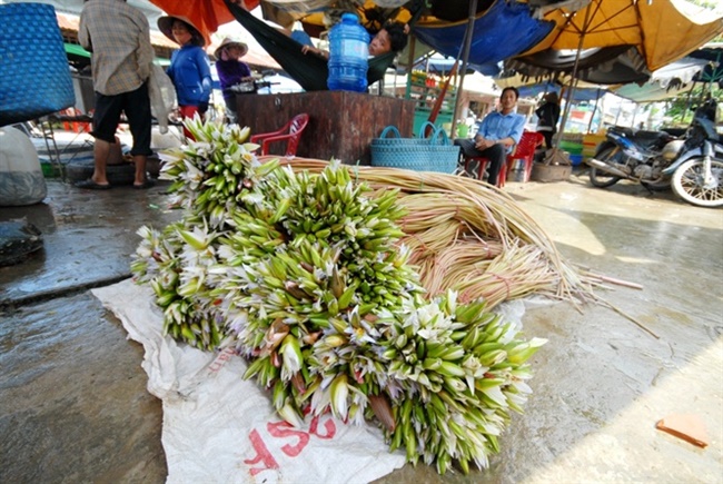 Nhiều người từ lâu chỉ nghĩ bông súng là thứ để cắm cho đẹp nhưng thực ra nó được dùng trong các món lẩu, món xào... rất được người dân Nam Bộ ưa thích.
