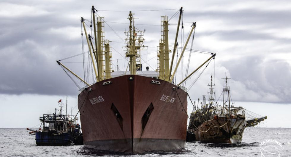 4 nước Nam Mỹ hợp sức đối phó các đội tàu đánh cá của Trung Quốc (ảnh: The Guardian)