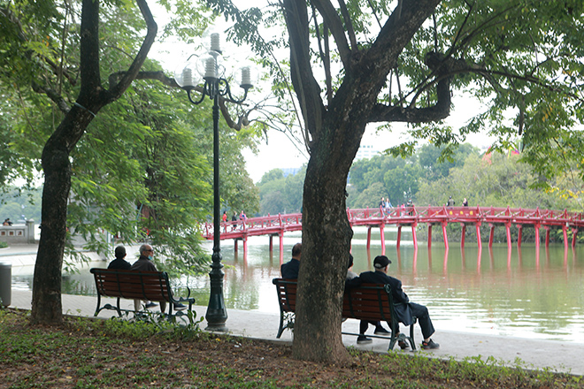 Chính vì sự đắt đỏ của loại gỗ này nên nhiều nơi đã phải cắt cử người trông coi, lập chốt an ninh, lắp camera… để bảo vệ những cây sưa quý.