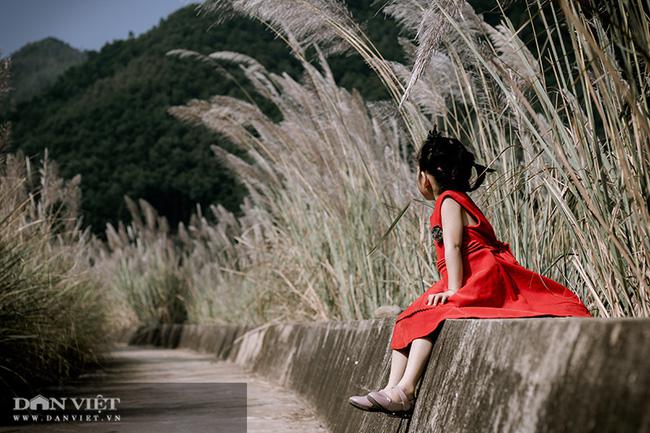 Xuyên suốt hơn 40km đường biên hai bên đồi núi, cỏ lau nở bạt ngàn.