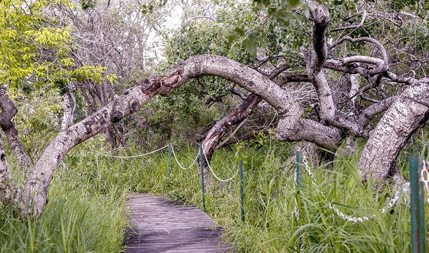 Những địa điểm bí ẩn và đáng sợ nhất xứ sở lá phong - 3