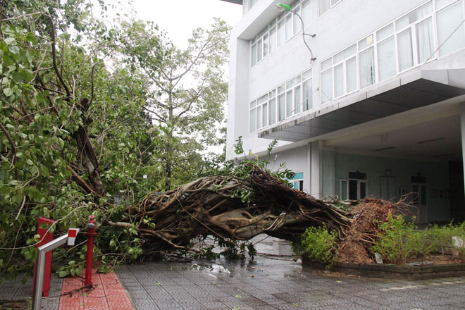 Mưa lũ, bão gây nhiều thiệt hại cho người dân miền Trung thời gian qua. Ảnh Báo Thừa Thiên Huế
