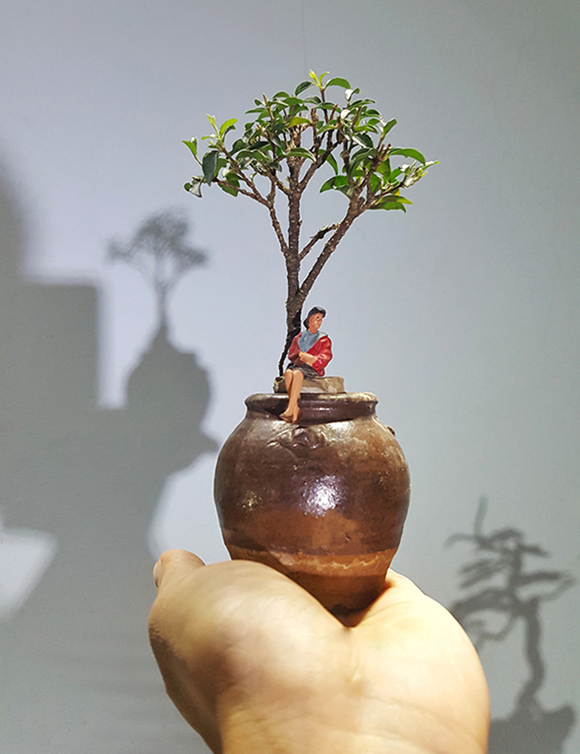 Anh Huỳnh thường chọn những cây sống trong nhà để gắn vào tác phẩm
