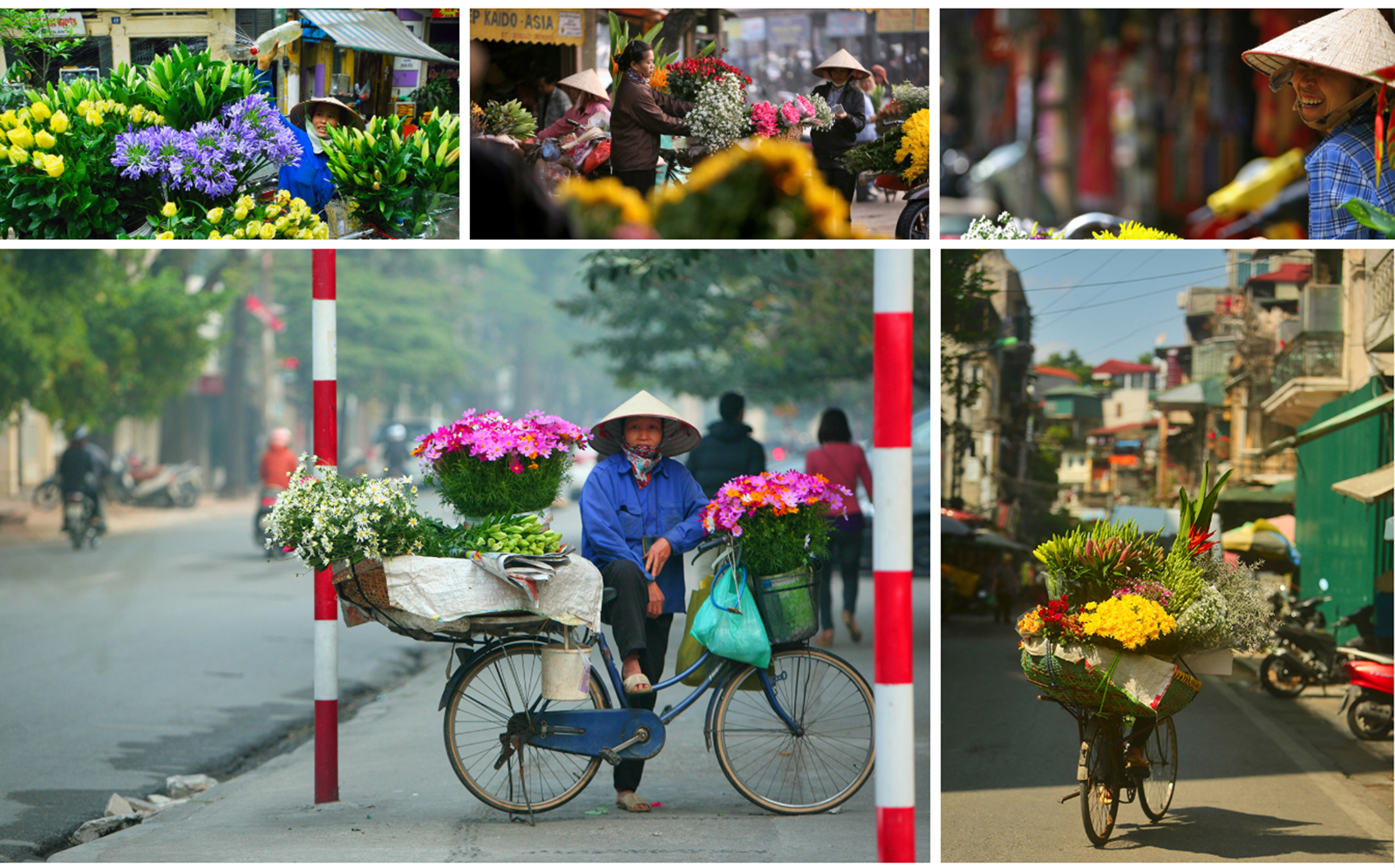 Những mùa hoa về trên phố - 4