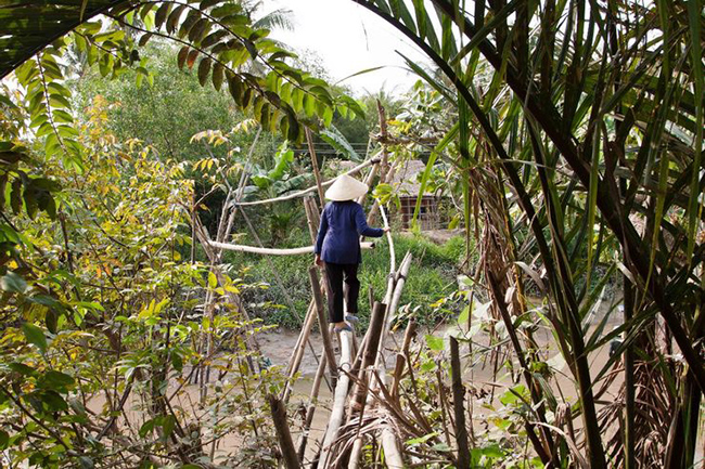 Cầu khỉ - Việt Nam: Được làm bằng một vài tấm ván tre hoặc dừa trên các vùng nước nhỏ, với vài giá đỡ trong nước, mặc dù nhìn chung không cao hoặc quá sâu, những chiếc cầu khỉ có thể rất nguy hiểm đối với những người không quen. 
