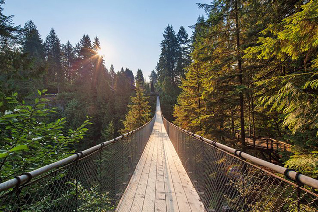 Cầu treo Capilano - Vancouver, Canada: Đây là cây cầu dành cho người đi bộ cao 70m phía trên sông Capilano, trong tán rừng Colombia thuộc Anh. 
