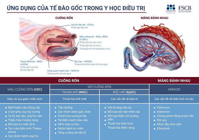 Dàn sao Việt đồng loạt lưu trữ tế bào gốc cho con - 1