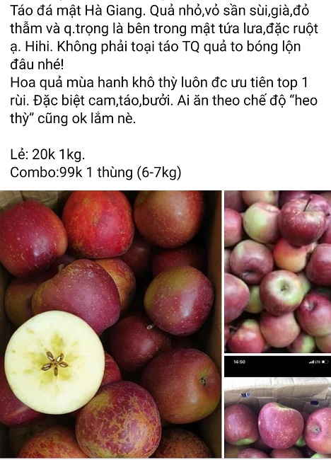 Dân buôn khẳng định đây là "táo đá Hà Giang".