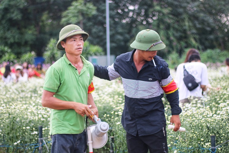 Do lượng khách quá đông, mỗi vườn cúc có từ 3 – 5 bảo vệ đứng ở nhiều vị trí khác nhau để liên lục nhắc nhở mọi người không xô đẩy, hái hóa bẻ cảnh.