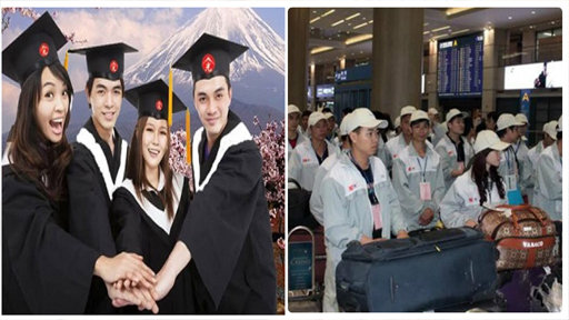 Bản chất việc đi du học và xuất khẩu lao động hoàn toàn khác nhau