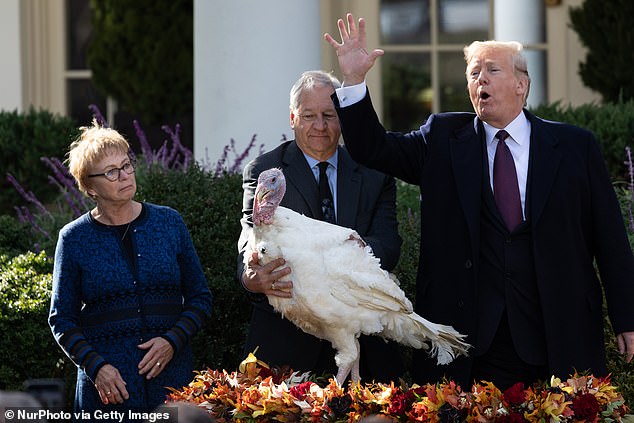 Năm 2018, ông Trump làm lễ xá tội cho 2 con gà tây có tên là&nbsp;Peas và&nbsp;Carrots. Ảnh: Getty