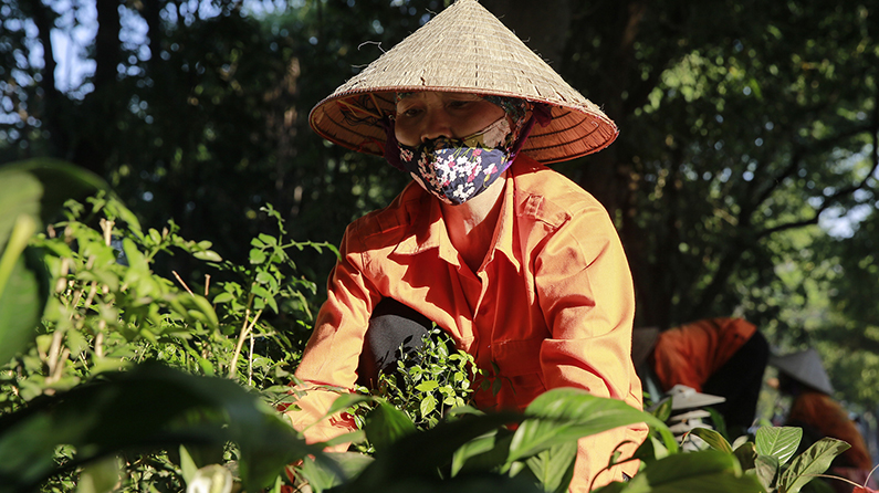 Hà Nội đẹp và lãng mạn trong ngày cuối thu - 13