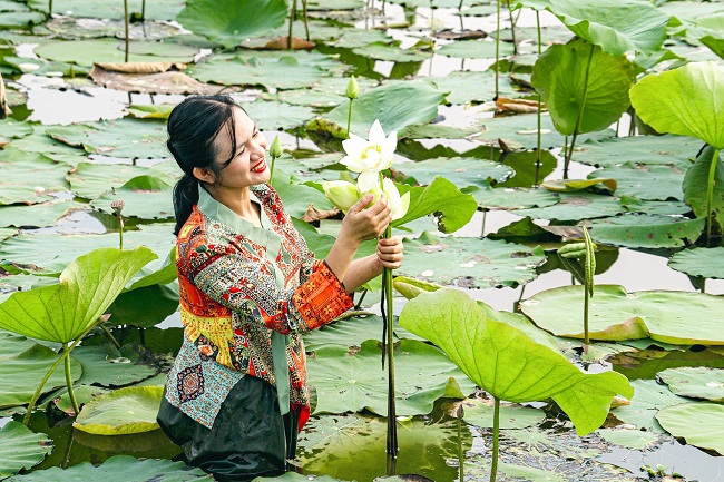Chị Diệu Huyền bắt đầu thu được những trái ngọt từ niềm đam mê với cây sen Huế