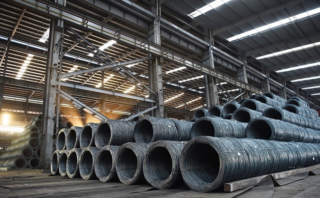 Theo mô tả trên Forbes thì Hòa Phát đang là nhà sản xuất thép lớn nhất Việt Nam, thiết bị văn phòng, ống thép, thép xây dựng.
