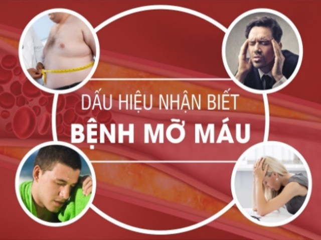Nguyên nhân, triệu chứng của bệnh mỡ máu cao nhận biết sớm để xử lý kịp thời - 1