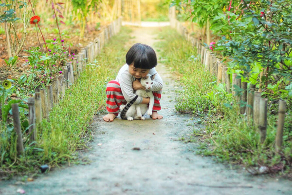 Hằng ngày Ngoan làm việc và chơi với các bạn nhỏ hàng xóm