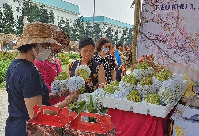 Dù giá không hề rẻ nhưng vì trái mùa lại có kích thước khủng nên loại na này nhận được sự quan tâm của đông đảo khách hàng.