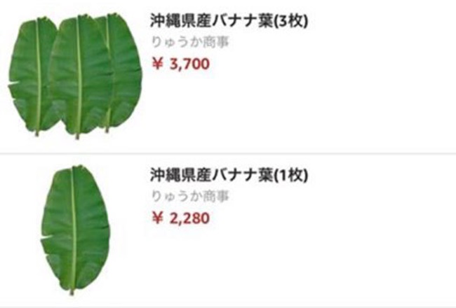 Đó là mức giá bán ở Việt Nam, tại nước ngoài, giá bán loại lá này trên chợ mạng lên đến 2.280 yên, tương đương 500.000 đồng, mua càng nhiều, giá bán càng rẻ.

