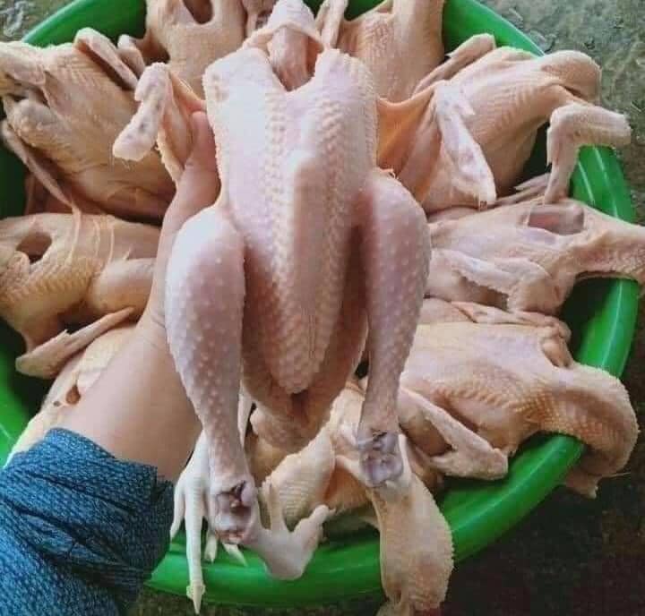 Những con "gà đồi Ba Vì" được người bán đăng lên và cam kết hàng chuẩn hình.