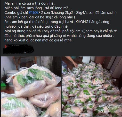 Trên mạng xã hội, người dùng sẽ thấy những bài đăng bán&nbsp;"gà đồi Ba Vì" giá rẻ tràn lan. (Ảnh chụp màn hình)