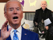 Thế giới - &quot;Thủ phạm&quot; khiến ông Biden bị rạn xương chân sẽ có vai trò quan trọng ở Nhà Trắng