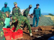 Tin tức trong ngày - Đào móng xây nhà, tá hỏa phát hiện gần 1 tấn bom mìn