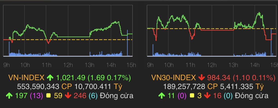 VN-Index tăng 1,69 điểm (0,17%) lên 1.021,49 điểm