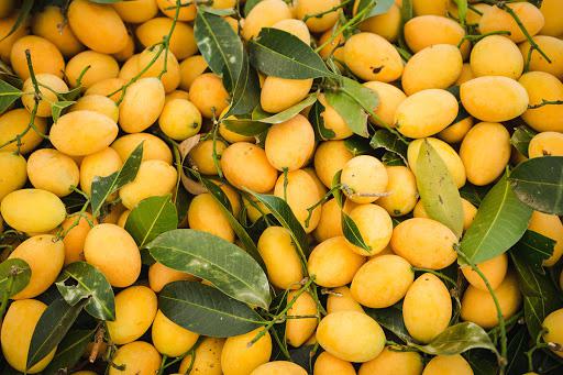 Ở Cao Lãnh Đồng Tháp có gì ngon? Đây là top 5 ngon nhất, bạn đã được thử hết? - 9