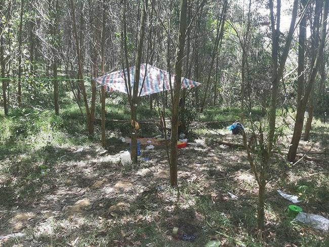 Khu vực nơi 2 người vào rừng xã Trường Sơn (huyện Quảng Ninh) tử vong nghi do ngộ độc lá rừng.