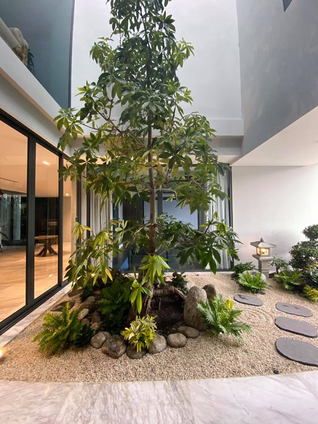 Không gian xanh được thiết kế ngay trong nhà, biến góc nhỏ thành một nơi thư giãn lý tưởng.
