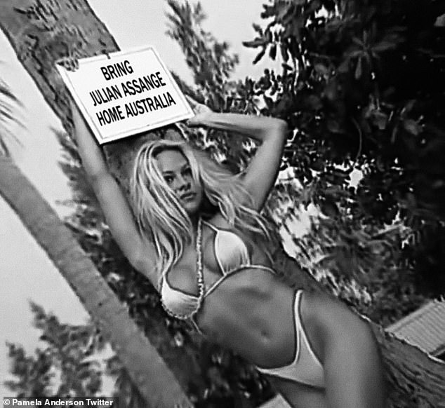 Bức ảnh Pamela Anderson, cựu người mẫu tạp chí Playboy, đăng tải trên Twitter kêu gọi ông Trump ân xá cho ông chủ Wikileaks. Ảnh: Twitter
