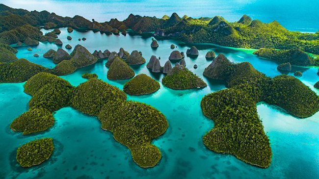 Raja Ampat: Vùng đất khá tươi tốt của những hòn đảo hình nón nằm trên nền nước xanh lam và ngọc lam là một trong những điểm tham quan ngoạn mục nhất của Indonesia.&nbsp;
