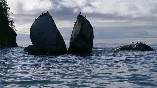 Split Apple Rock (New Zealand): Đúng như những gì bạn tưởng tượng, đây là tảng đá hình quả táo bị tách làm đôi do lực tạo ra bởi sự đóng băng và giãn nở của nước trong một vết nứt trên đá. Cảnh thủy triều lên ở tảng đá granit này cực kỳ hấp dẫn.
