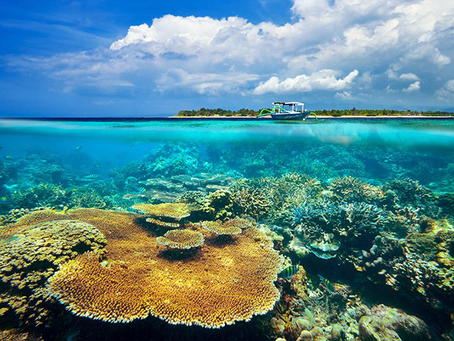 Quần đảo Gili: Quần đảo Gili là một điểm thu hút lớn ở Lombok. Những hòn đảo đẹp như tranh vẽ này mang đến những bãi biển sánh ngang với Bali về vẻ lộng lẫy của chúng.
