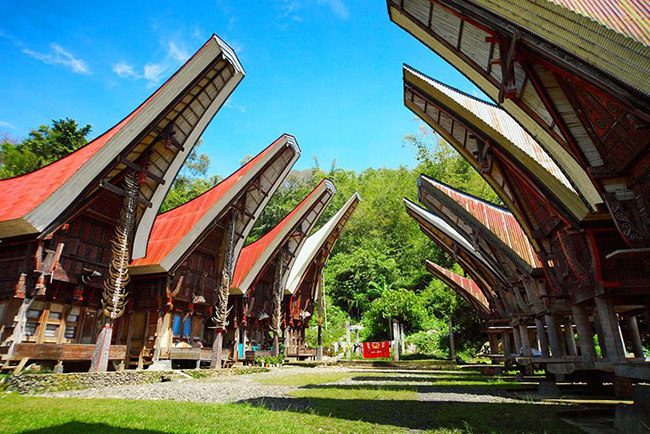 Tana Toraja: Một chuyến thăm đến Tana Toraja ở tỉnh Nam Sulawesi sẽ mang lại cảm giác như bạn đang quay ngược về quá khứ và mang đến một cái nhìn về sự phong phú và đa dạng của nền văn hóa lâu đời của Indonesia.
