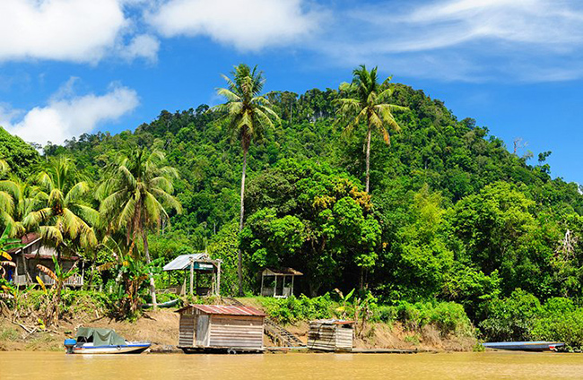 Kalimantan, Borneo: Một trong những nơi sinh thái đa dạng nhất trên trái đất, Borneo là nơi sinh sống của đười ươi, chim kỳ lạ, tê giác Sumatra, voi lùn và một loạt các sinh vật khác.
