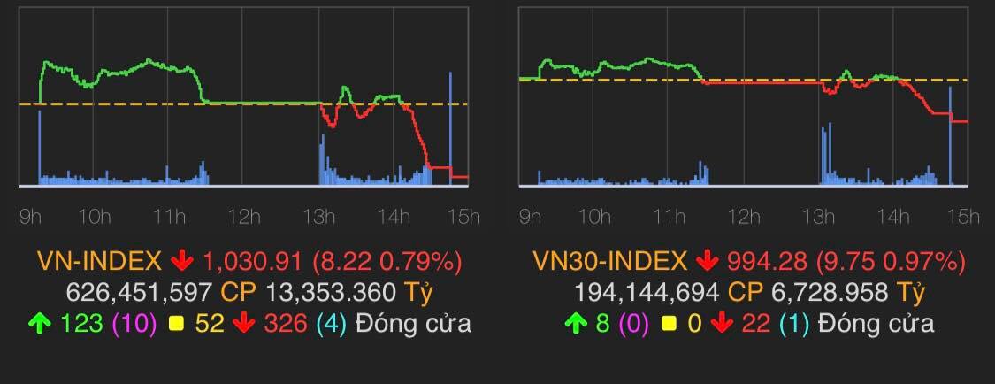 VN-Index giảm 8,22 điểm về 1.031 điểm