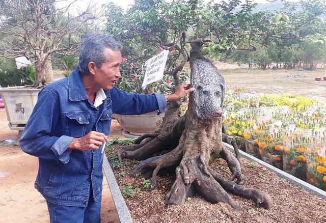 Cây khế hình chó thu hút nhiều người chiêm ngưỡng tại hội chợ cây cảnh.