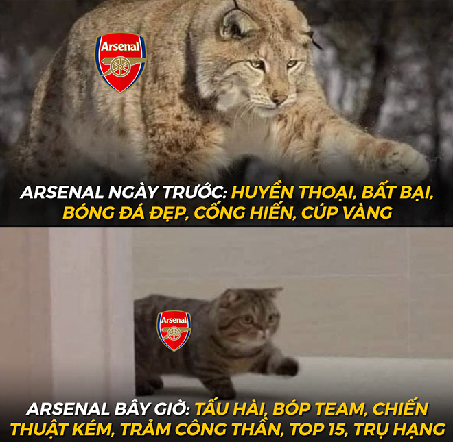 Arsenal ngày càng tuột dốc không phanh.