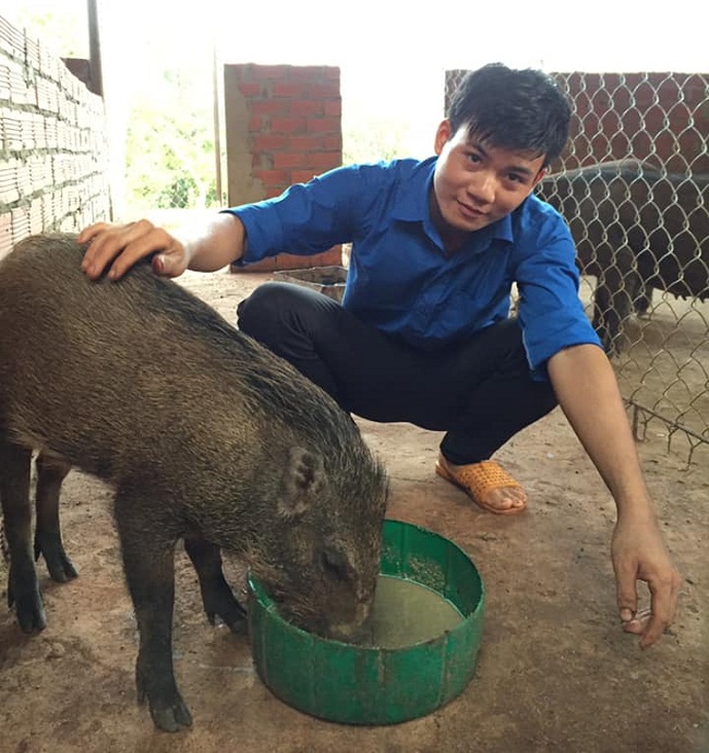 Anh Nguyễn Văn Quyết là một&nbsp;trong những hộ tiên phong tại Bình Phước nuôi lợn rừng&nbsp;theo hướng hàng hóa
